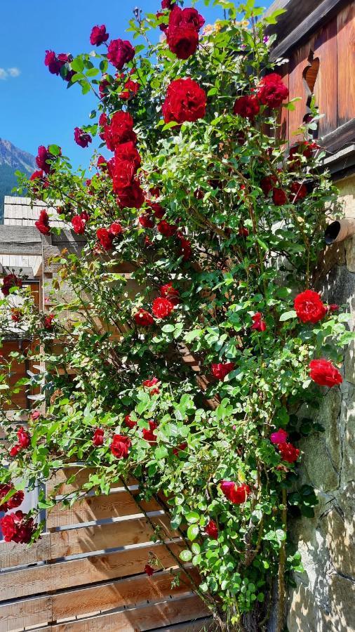 Chalet Serre Cambeou Piscine&Spa Saint-Chaffrey Εξωτερικό φωτογραφία